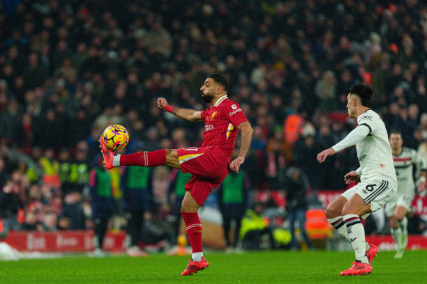 肯定会成为 肯定会成为